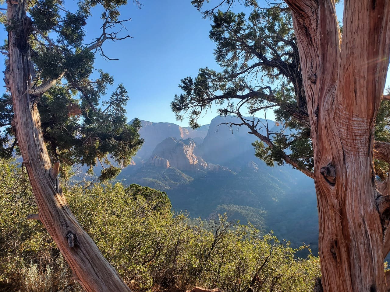 Timber Creek Trail and Kolob Overlook